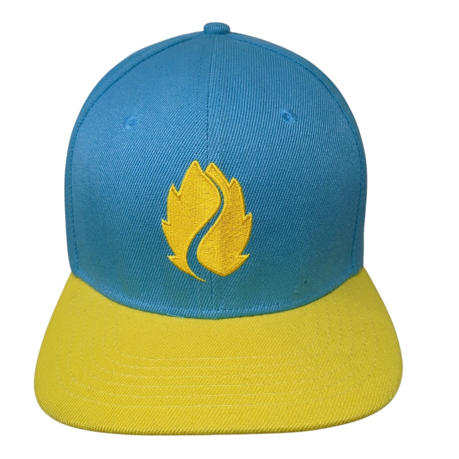 Flame Colorblock Snapback